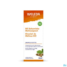Load image into Gallery viewer, mediPimId:647436:1781595080

