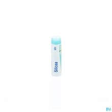 Charger l'image dans la galerie, mediPimId:37526:1728458672
