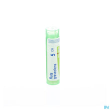 Afbeelding in Gallery-weergave laden, mediPimId:37892:1728458713
