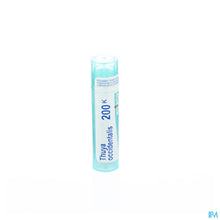 Charger l'image dans la galerie, mediPimId:37818:1728458708
