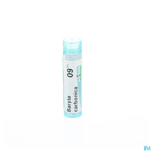Afbeelding in Gallery-weergave laden, mediPimId:37757:1728458699
