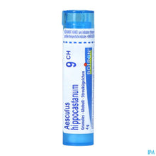 Afbeelding in Gallery-weergave laden, mediPimId:208675:1728550200
