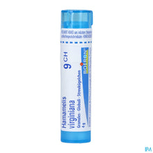 Charger l'image dans la galerie, mediPimId:220149:1728551674

