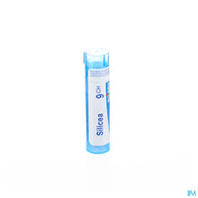 Charger l'image dans la galerie, mediPimId:37813:1728458708
