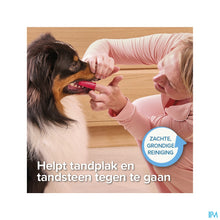 Charger l'image dans la galerie, mediPimId:656244:1784019294
