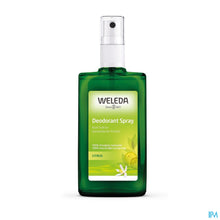Afbeelding in Gallery-weergave laden, mediPimId:647504:1781613348
