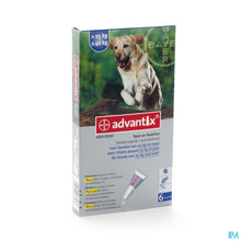 Afbeelding in Gallery-weergave laden, mediPimId:9679:1728393154
