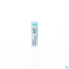 Afbeelding in Gallery-weergave laden, mediPimId:43206:1728459114
