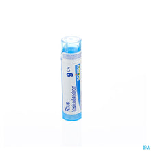 Afbeelding in Gallery-weergave laden, mediPimId:42806:1728459075
