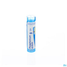 Afbeelding in Gallery-weergave laden, mediPimId:43105:1728459102
