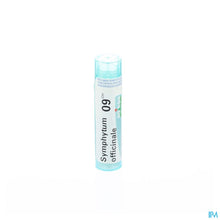 Afbeelding in Gallery-weergave laden, mediPimId:37918:1728458716
