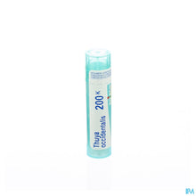 Charger l'image dans la galerie, mediPimId:42824:1728459077
