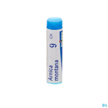 Afbeelding in Gallery-weergave laden, mediPimId:65492:1728461698
