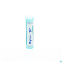 Afbeelding in Gallery-weergave laden, mediPimId:37704:1728458693
