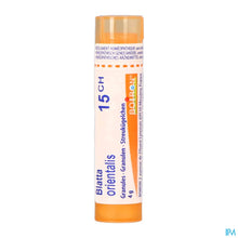 Afbeelding in Gallery-weergave laden, mediPimId:208679:1728550201
