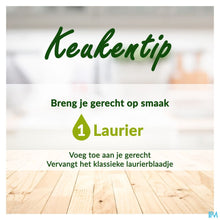 Afbeelding in Gallery-weergave laden, mediPimId:255950:1728557132
