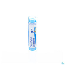Afbeelding in Gallery-weergave laden, mediPimId:37795:1728458705
