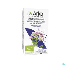 Afbeelding in Gallery-weergave laden, mediPimId:341518:1783613051
