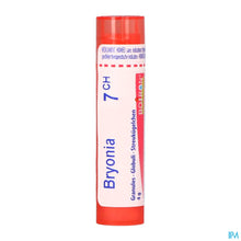 Afbeelding in Gallery-weergave laden, mediPimId:208657:1728550198
