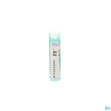 Charger l'image dans la galerie, mediPimId:57708:1728460865
