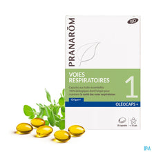 Charger l'image dans la galerie, mediPimId:289032:1760966183
