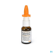 Afbeelding in Gallery-weergave laden, mediPimId:123500:1728468083
