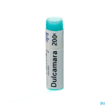 Charger l'image dans la galerie, mediPimId:80210:1728463725
