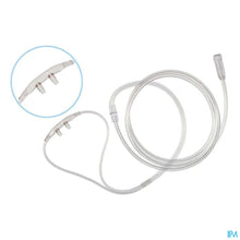 Charger l'image dans la galerie, mediPimId:191867:1728477254
