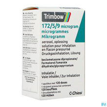 Afbeelding in Gallery-weergave laden, mediPimId:241889:1728555267
