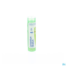 Charger l'image dans la galerie, mediPimId:37755:1728458699

