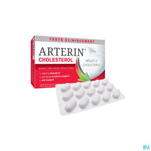 Afbeelding in Gallery-weergave laden, mediPimId:463974:1742387229
