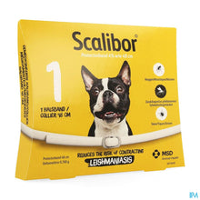 Charger l'image dans la galerie, mediPimId:153302:1728472040
