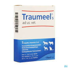 Afbeelding in Gallery-weergave laden, mediPimId:126558:1728468392

